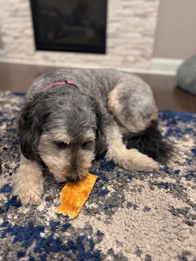 Fieldcrest Farms Nothin to Hide Flip Chips Dog Chews - Natural Rawhide Alternative Treats for Dogs, Collagen Based Snack for Moderate Chewers Up to 35lbs, Beef Flavor