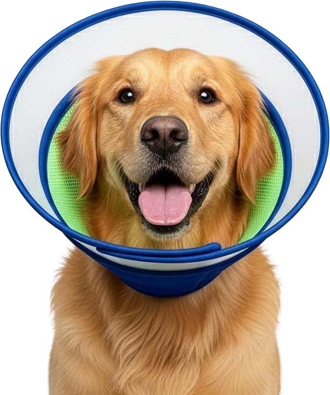 Soft Dog Cone Collar After Surgery – Adjustable Recovery Cone for Medium & Large Dogs – Double-Layer Protective Elizabethan Collar for Wound Protection & Licking Prevention – Comfortable - Blue