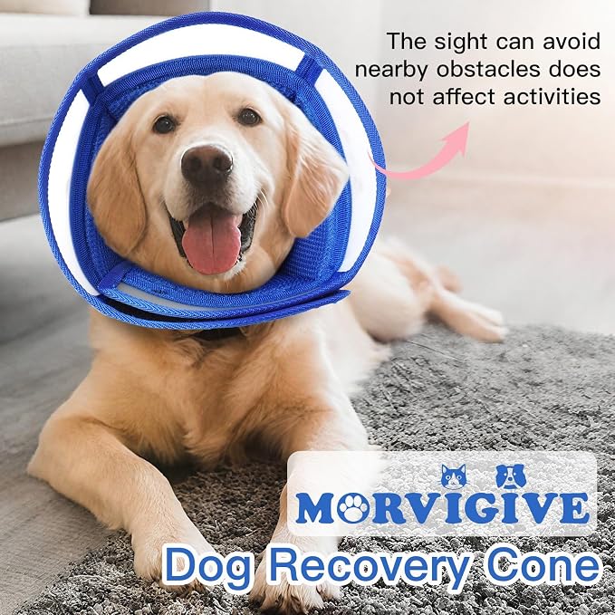 Dog Recovery Collars & Cones, Small Dog Cone, Blue, S | Adjustable Dog Soft Cone, Stop Licking Wounds After Surgery & Skin Disease, Lightweight, Comfortable Elizabethan Collar