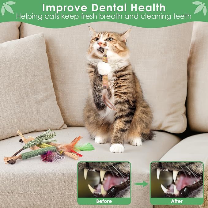 Bissap 16 PCS Silvervine Chew Sticks for Cats, Catnip Chew Sticks Cat Toys for Indoor Cat Kitten Teeth Grinding Interactive Feather Toys for Aggressive Chewers Dental Care