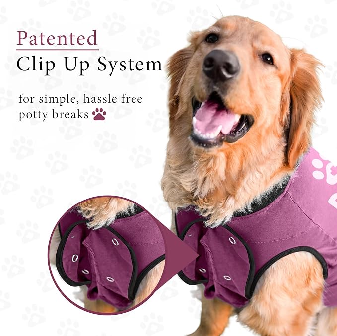 BellyGuard Dog Surgery Recovery Suit, Post-Op Dog Recovery Suit for Female Spay & Male Neuter, Comfy Onesie for Pets, Surgical Body Cover for Canine Healing Support