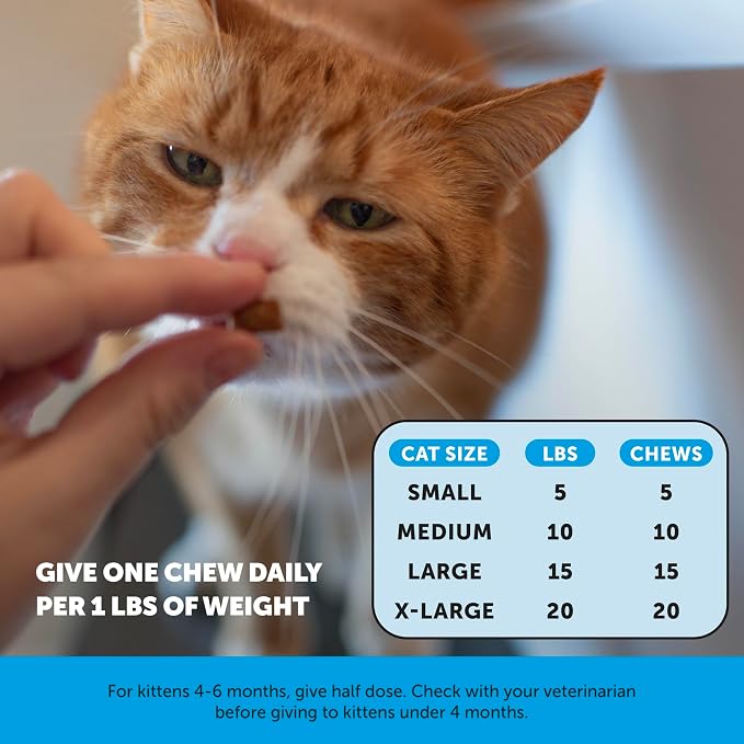 Cat Skin & Coat Supplement Crunchy Creamy Chews - Salmon Oil for Cats Omega 3 Itchy Dry Skin Relief - Feline Shedding Control - Biotin Vitamins for Indoor Cats Shiny Soft Coat (90-Day Supply)