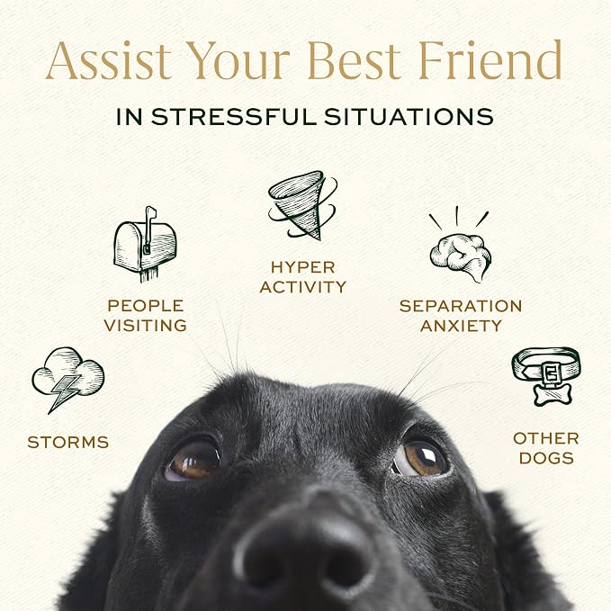 Breedwise Dog Calming Treats - Advanced Stress and Anxiety Relief Soft Chews with L-Theanine & Valerian Root - Non-Drowsy Formula for Storms, Separation & Travel - Hickory Bacon Flavor - 60 Count