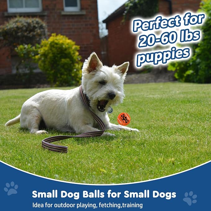 INSUM 20 Pack Small Tennis Balls for Dogs - 2 Inch Squeaky Dog Balls Toys with Mesh Bag, SGS Certified, Durable Non-Toxic, Built in Squeaker, Small Breeds
