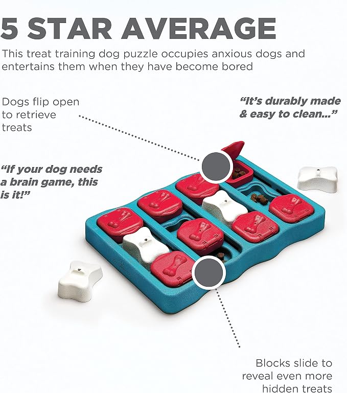Nina Ottosson by Outward Hound - Interactive Puzzle Game Dog Toys