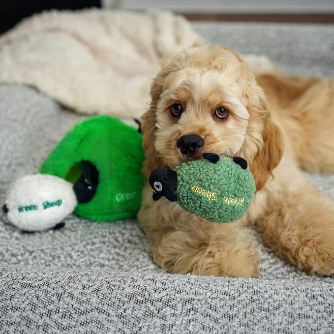 Green Sheep Hide & Seek Toy for Dogs, Durable Plush Squeaky Dog Toys with Recycle Cotton Rope, Interactive Chew Toy for Small to Large Dogs, Tough Pet Toys to Keep Them Busy