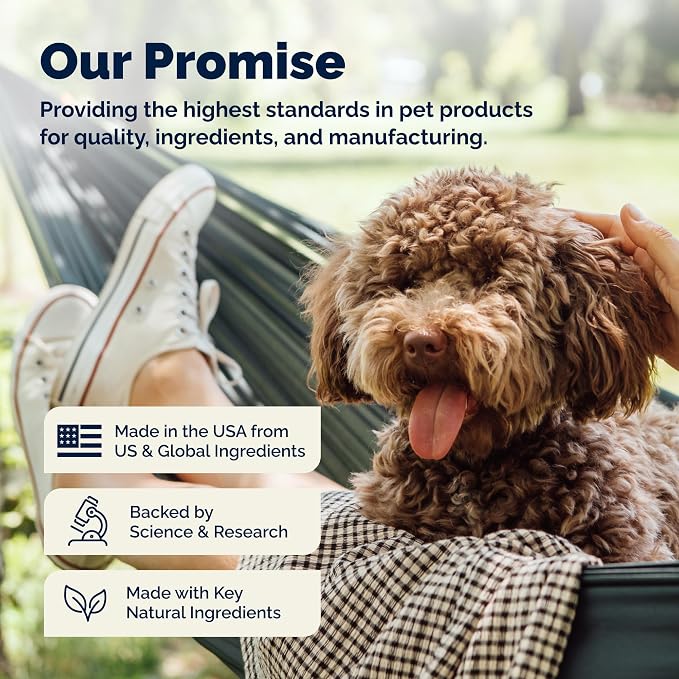 Dermabliss Dog Anti Itch Spray & Shampoo Bundle for Dogs & Cats, Hydrocortisone & Pramoxine Itch Spray Plus Max Strength Pramoxine Oatmeal Shampoo for Allergies, Itchy Skin & Paw Licking