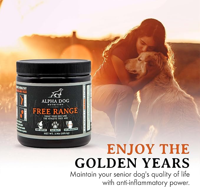 Active K9 Bundle: Free Range Joint Support + Resurgence Electrolytes