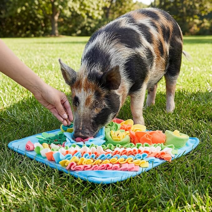 Novabright Piggy Snuffle Mat 15.75 x 15.75 Inches, Colorful Foraging Pad for Pigs Enrichment Toys with Non-Skid Backing, Sniffing Mat for Guinea Pigs, Rabbits, Dogs, Easy to Clean