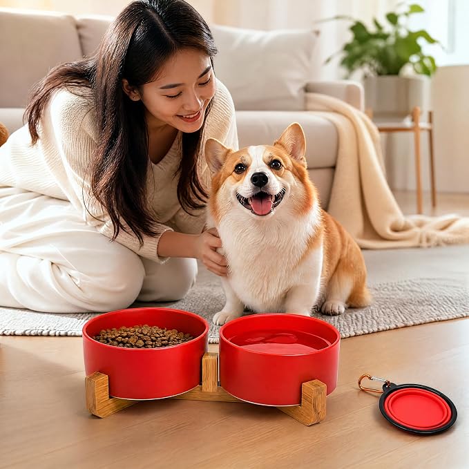 Petygooing Dog Bowls,Ceramic Cat Dog Bowl Set with Wood Stand for Food and Water,Non-Slip Cute Modern Pet Dish for Cats Small Size Dogs Puppy (13.5OZ/5.1 in) Rust Red