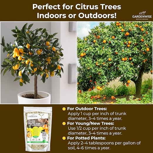 GARDENWISE Professional Citrus Fertilizer + Vital Micronutrients; Perfect Balanced NPK for All Citrus; for Indoor and Outdoor Plants; Orange, Lime, Avocado and Lemon Tree Fertilizer (5 QUARTS)
