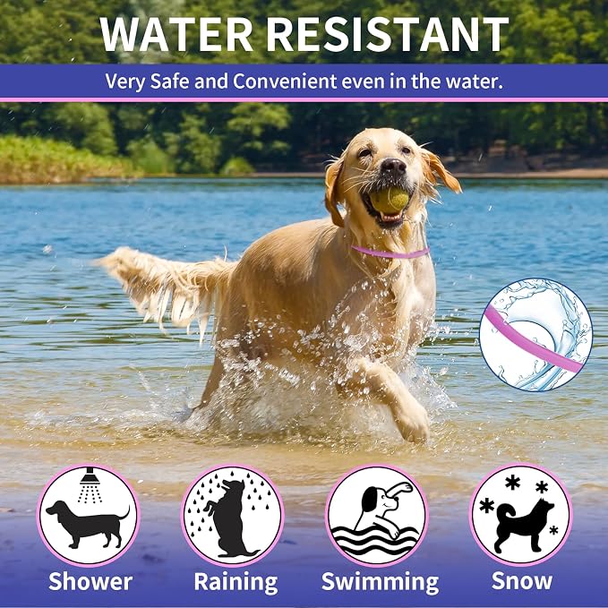 YOTANGO 4 Pack Flea Collar for Dogs, Dog Flea Collar Waterproof, 32 Months Prevention, Dog Fleas and Tick Treatment, Adjustable Fleas and Tick Protection for Dogs Puppy(Blue & Pink)