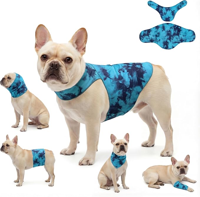 DAJIDALI® Dog & Cat Anxiety Vest & Spay Recovery Suit – Silent Adjustable Calming Wrap for Surgery & Thunderstorms – 2-Piece Cone & Recovery Onesie Alternative
