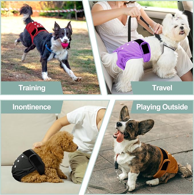 Female Dog Diapers 5Pcs - Premium Reusable Diapers for Doggie in Heat - Highly Absorbent Dog Diapers Female for Pet Incontinence, Red, XXL