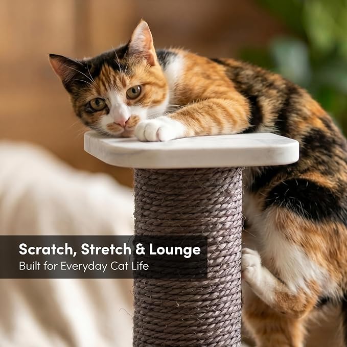 xympo 32" Sisal Scratching Post