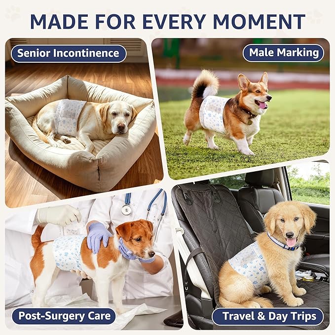 Dog Diapers Male Medium, Disposable Wraps Belly Band, 17-23", 50 Ct | 6-layer absorbent core · wetness indicator · soft breathable fit · extra absorbent · for marking, senior care & recovery