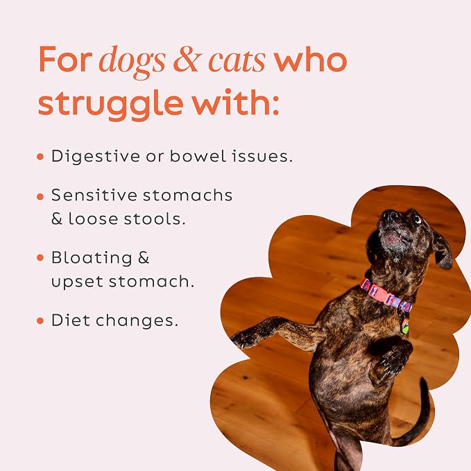 Diggin' Your Dog Firm Up! Pumpkin Bundle – Fiber Supplement with Pumpkin & Apple Fiber for Cat & Dog Digestive Support – Made in USA, 8oz