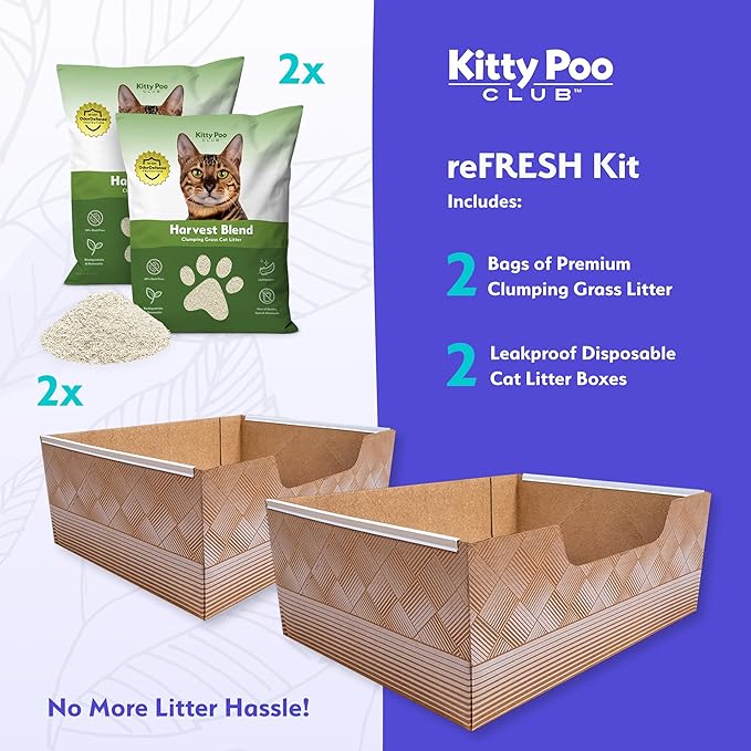 Kitty Poo Club Leak-Proof Disposable Cat Litter Box 2-Pack with 2 Bags Harvest Blend Grass Litter, Fast Clumping, Low Tracking, Soft Texture, Perfect for Travel and Multi-Cat Homes