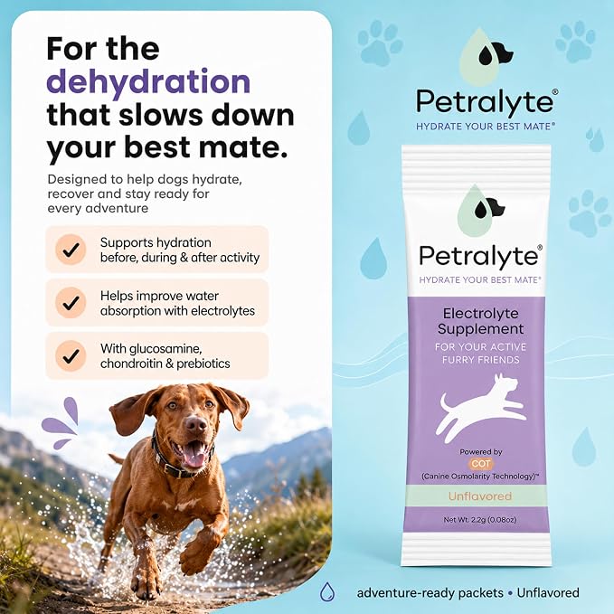 Dog Electrolytes and Joint Supplement | Glucosamine, Chondroitin & MSM for Inflammation and Mobility Support | Electrolytes for Dogs with Prebiotics | Unflavored | 16 Packets