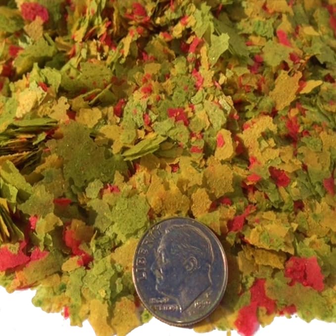 Zeigler Small Flakes with Vita-Pack for Discus, Cichlids, Guppies, Goldfish, Angel Fish,Tetras, Livebearers, Bettas, All Community Tropical Fish. Zeigler…5-lbs