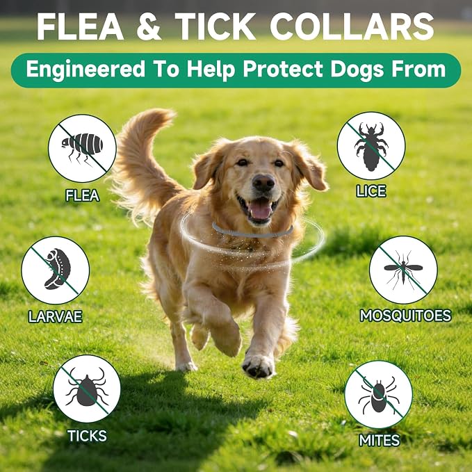4 Pack Flea Collar for Dogs, 32 Months Flea and Tick Prevention for Dogs, Dog Flea and Tick Treatment, Adjustable Dog Flea Collars, Waterproof Dog Flea Treatment Collar, Flea Treatment for Dogs, Grey