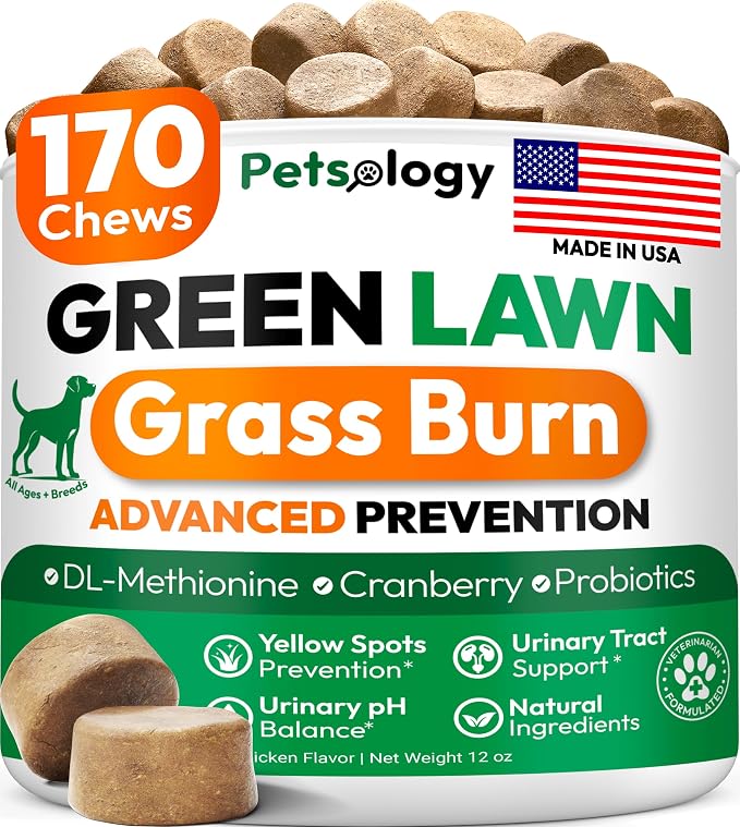 Dog Urine Neutralizer for Lawn - 170 Green Lawn Chews for Dogs - Pee Grass Burn Spot Saver Caused by Dog Urine with Probiotics & Digestive Enzymes - Advanced Gut Health Supplement, Rocks