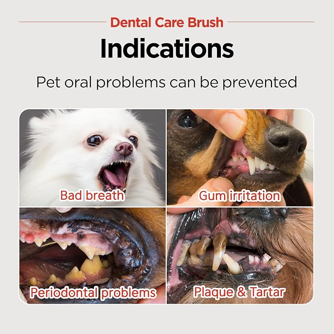 JAYU PET Dental Care Brush [Soft & Firm Bristles] - Toothbrush for Cat and Small Dogs, Removing Old Plaque and Tartar, Pet Dental Care, Cat Teeth Brushing & Easy Cleaning