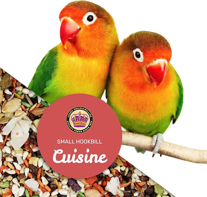 Small Hookbill Cuisine Parrot Food 4 Lb Premium Birdseeds for Parrot, Bird Food for Small Hookbill, Supports Daily Energy, Growth & Digestive Health, Nutrient-Rich Parrot Bird Seed for Outside Feeders