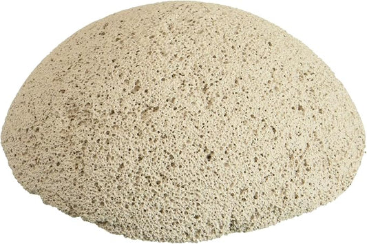 Brightwell Aquatics 8 count Bri Frag Hemixspheres 2"
