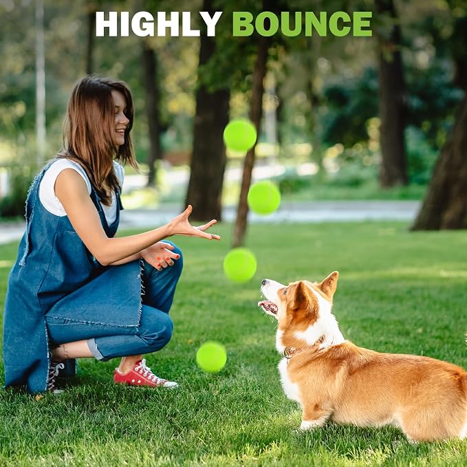 FURWEY Tennis Balls, 12/24/36/80 Pack Bulk Tennis Balls Pressureless Tennis Ball, Come with Mesh Bag for Easy Transport,Pet Dog Playing Balls, Good for Beginner Training Ball