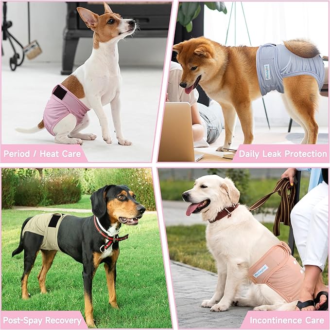 5Pcs Washable Reusable Female Dog Diapers Puppy Doggy Doggie Diapers for Female Dogs Small Medium Large Period Panties in Heat, Medium