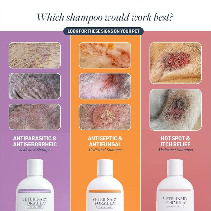 Veterinary Formula Clinical Care – Antiparasitic & Antiseborrheic Medicated Dog Shampoo – Supports Dry, Irritated Skin and Helps Soothe Occasional Itchy Spots – 16 oz