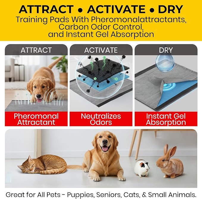 Glad for Pets Extra Large Charcoal Training Pads for Dogs and Puppies, Activated Carbon Odor Control, 6-Layer Absorbent Leak-Proof Pee Pads with Pheromone Attractant, 28 x 30 in, 30 Count - 6 Pack