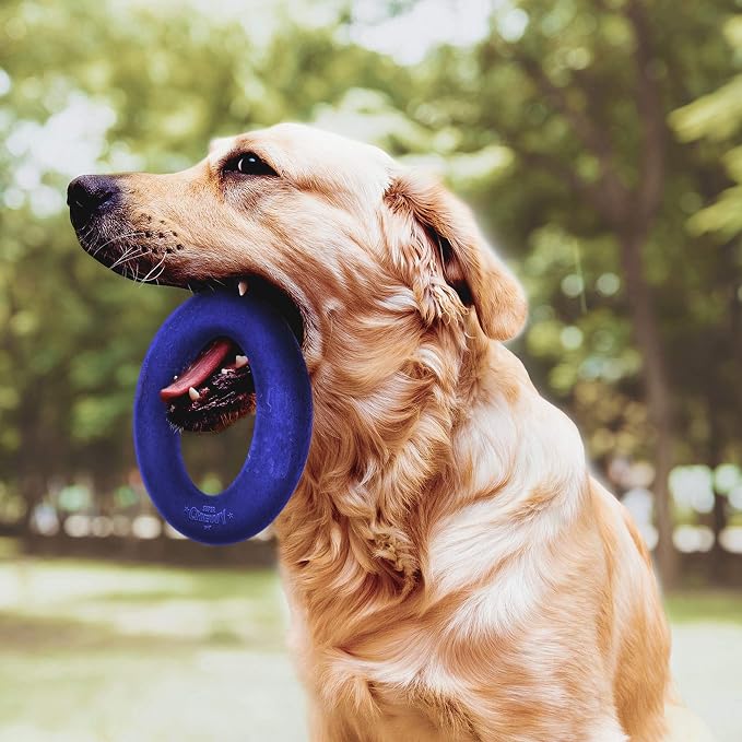 Tuff Pupper SuperChewy Durable Rubber Dog Ball and Rubber Durable Ring Dog Toy Bundle