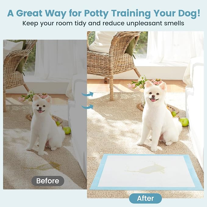 PETSITE Dog and Puppy Pee Pads, 6-Layer Leak-Proof Super Absorbent, Quick-Dry Surface, Indoor Outdoor Disposable Potty Training Pads, Blue & White (24" x 17" (300 Count))