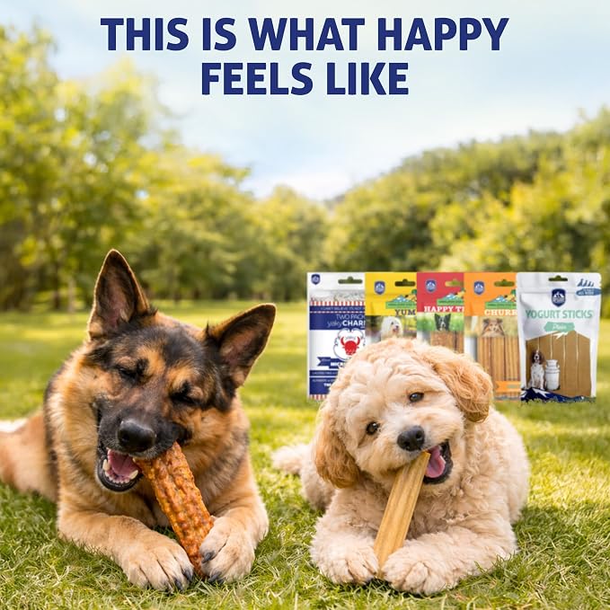 Himalayan Dog Chew Variety Pack, 5 Assorted Dog Chews for All Breeds & Sizes, Soft to Medium Density, Yak Cheese & Yogurt Treats, Grain & Lactose Free