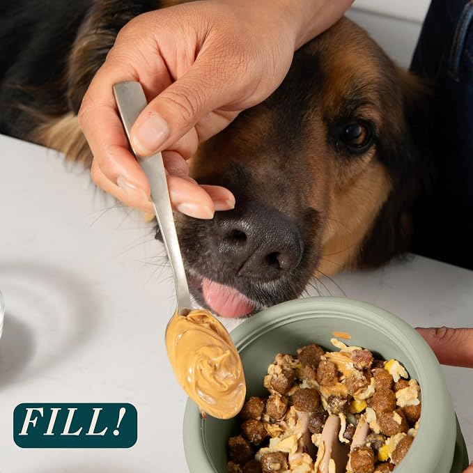 Should We Go? Interactive Dog Enrichment Toy with Freezer Plug, BPA-Free Silicone Puzzle Dog Freeze Bowl & Treat Dispenser for Mental Stimulation, Ideal for Kibble & Frozen Licks, Fits 17 oz, Large
