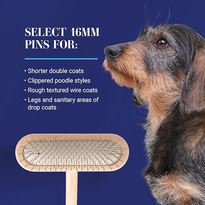 Chris Christensen Mini Grooming Brush - Comfortable High-Grade Stainless-Steel Rounded and Polished Pins - Removes Long & Loose Hair from Dogs & Cats