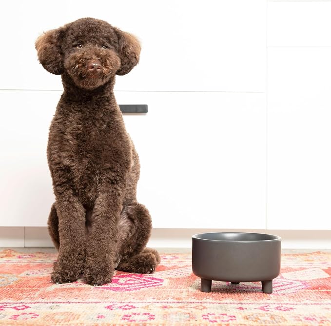Waggo Uplift Ceramic Dog Bowl for Small Medium and Large Breeds - Heavyweight and Durable Pet Food and Water Dish Crock, Dishwasher Safe, Modern, Elevated Feeder (Olive, Medium)