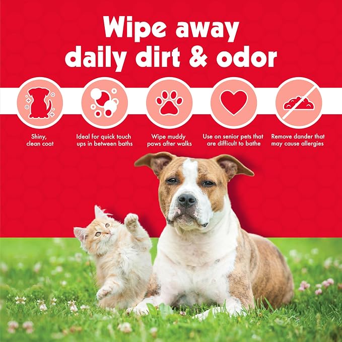 Petkin Pet Wipes for Dogs and Cats, 200 Large Wipes - Removes Dirt & Odor Like Washing Hands - Cleans Ears, Face, Butt, Eyes Area - Convenient, Ideal for Home or Travel - 2 Packs of 100 Wipes