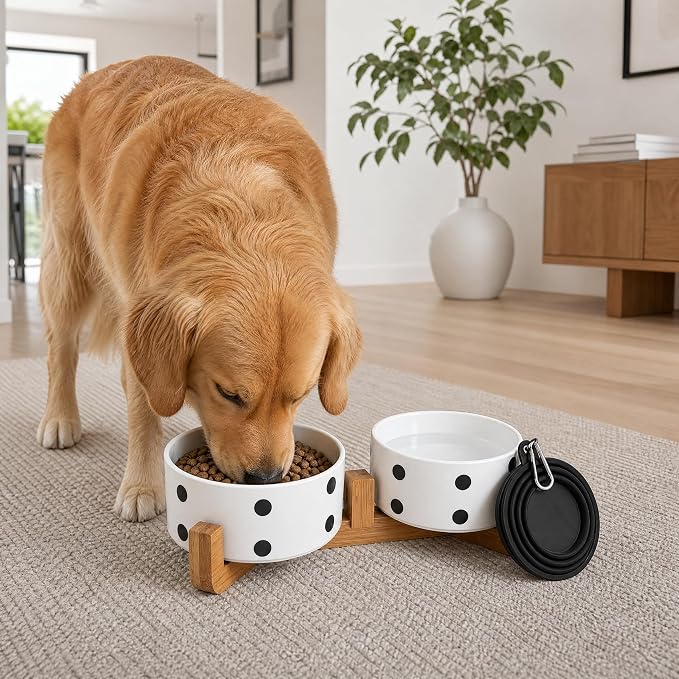 Petygooing Dog Bowls Ceramic, Cat Dog Bowl Set with Wood Stand for Food and Water,Non-Slip Cute Modern Pet Dishes for Cats Medium Size Dogs (28OZ/6.1 in) Black Dot