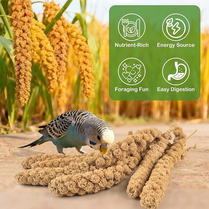 ERKOON 2.5LB Spray Millet Treat, All Natural Sun-Dried Healthy Treat Parrot Food Bird Snack for Parakeets, Lovebirds, Cockatiels, Finches, Budgies, Canaries Hamster, Bird Food Bulk