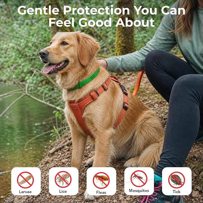 FurLife Flea and Tick Collar for Dogs – Waterproof Blue Dog Collar, Pet Supplies for Tick and Flea Prevention for Dogs, Safe for All Breeds