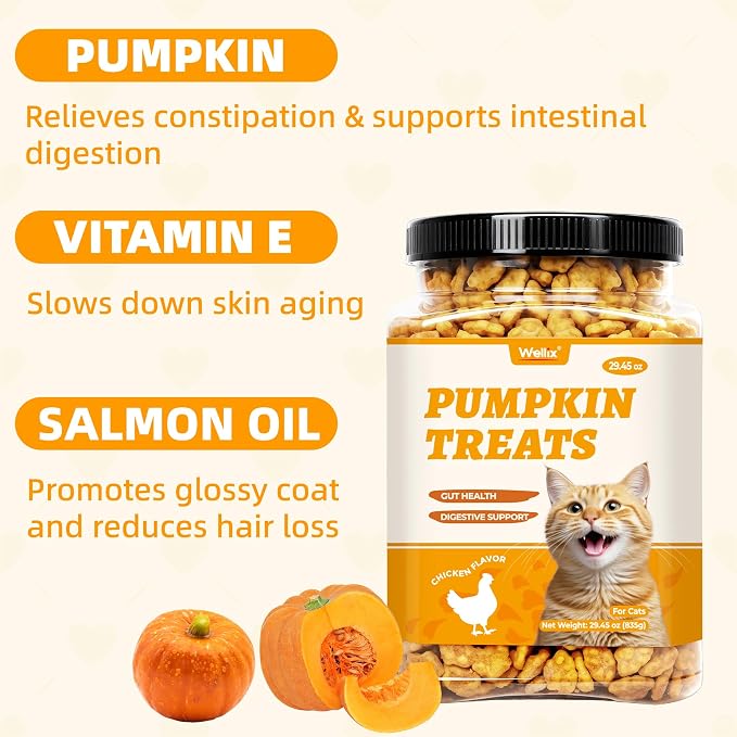 Wellix 29.45 oz Healthy Cat Treats Pumpkin Flavor - Chicken Formula Stomach Sensitive Kitten Snacks for Digestive Support - Cat Constipation Relief Low Calorie Food Topper for Cats