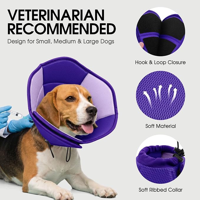 Dog Cone - Soft Cone for Dogs to Stop Licking, Pet E-Collar Alternative After Surgery, Adjustable Pet Recovery Collar for Wound Healing, Purple Large