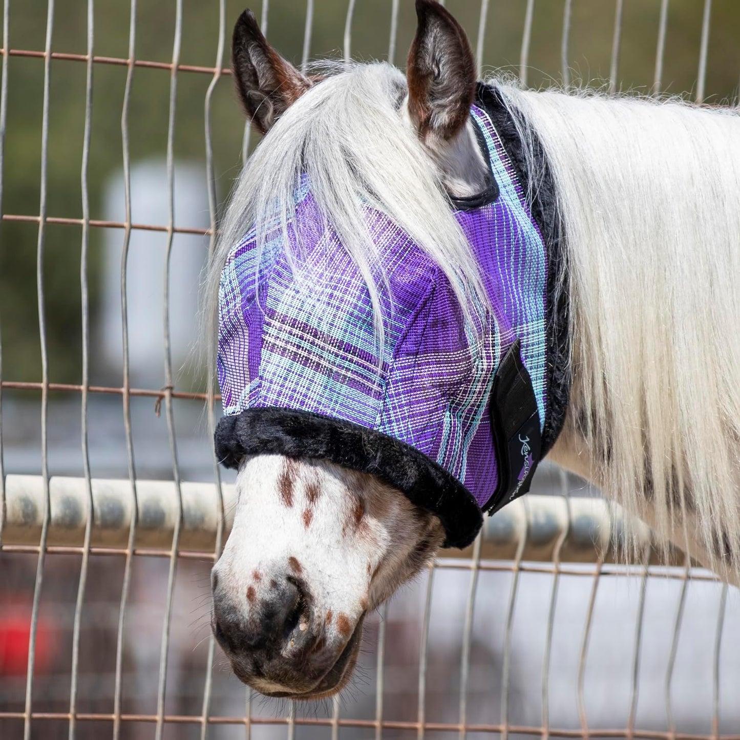 Kensington Fly Mask with Fleece Trim for Horses — Protects Face and Eyes from Flies and Sun Rays While Allowing Full Visibility — Breathable and Non Heat Transferring, Large, Lavender Mint