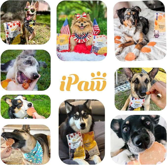 iPaw Chicken Chips Dog Treats for Puppy Training, SQF Certified Human Grade Dog Treat, Hypoallergenic, Easy to Digest (Chicken Chips)