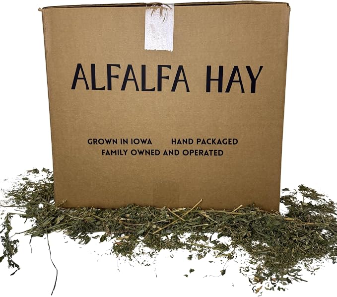Alfalfa Hay for Rabbits, Guinea Pigs, Chinchillas, Hamsters, Gerbils, and Other Small Herbivores. 12lb
