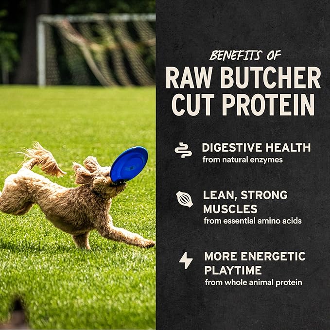 Vital Essentials Freeze Dried Dog Treats | Beef Bites, Single Protein | Premium Quality | Grain Free Training Treats for Dogs, 6.2 oz Bag