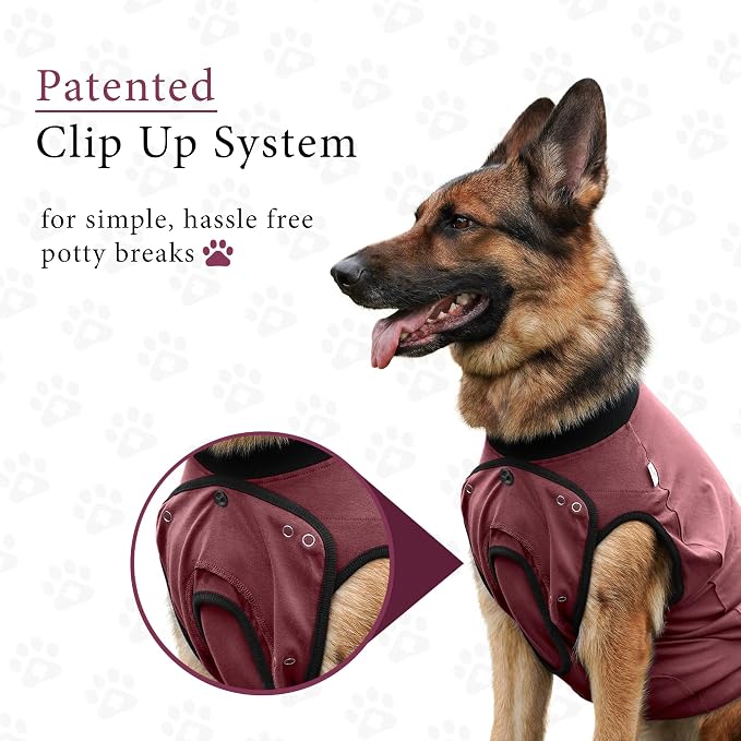 BellyGuard Dog Surgery Recovery Suit, Post-Op Dog Recovery Suit for Female Spay & Male Neuter, Comfy Onesie for Pets, Surgical Body Cover for Canine Healing Support